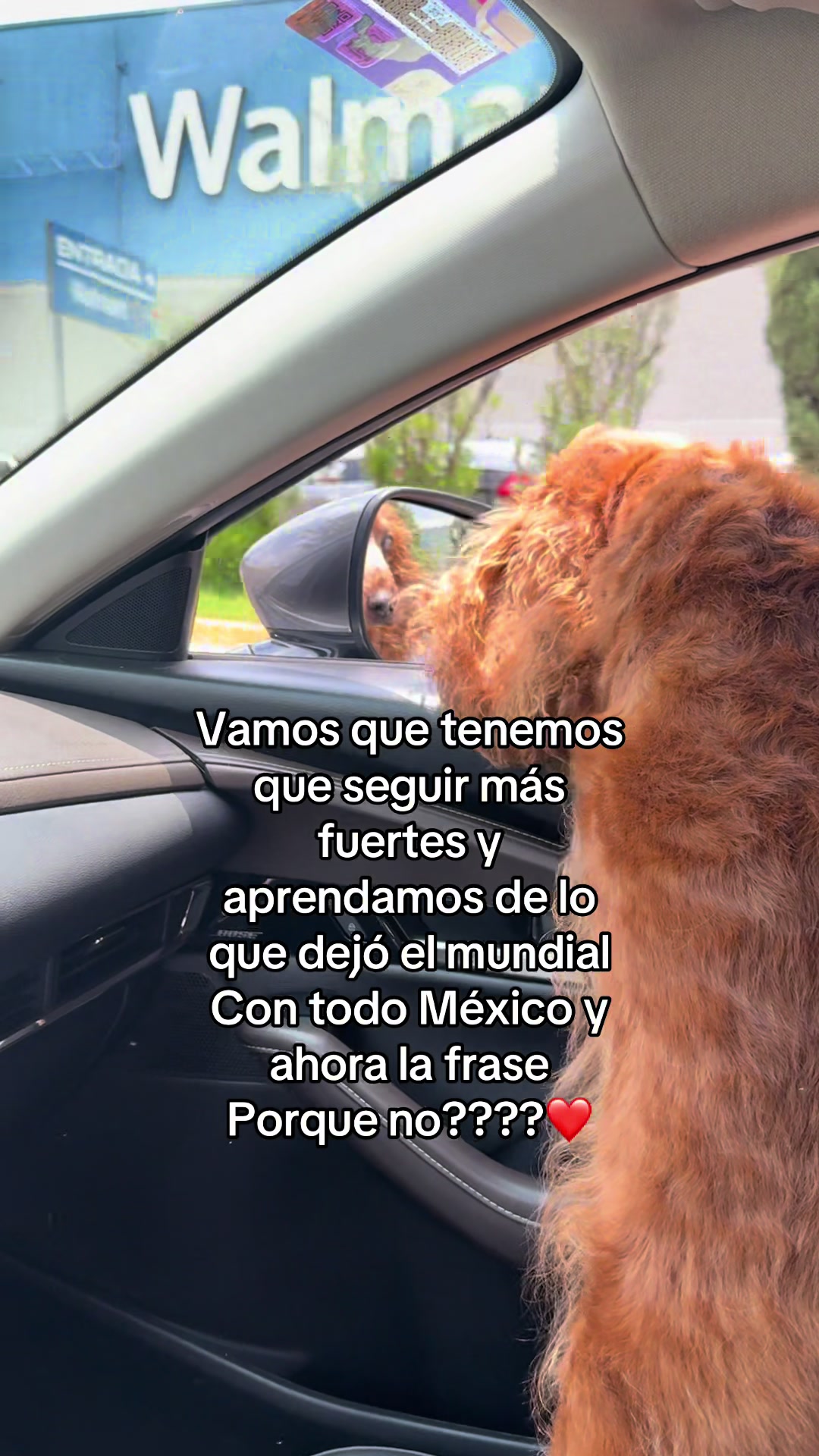 @Daly Bejar