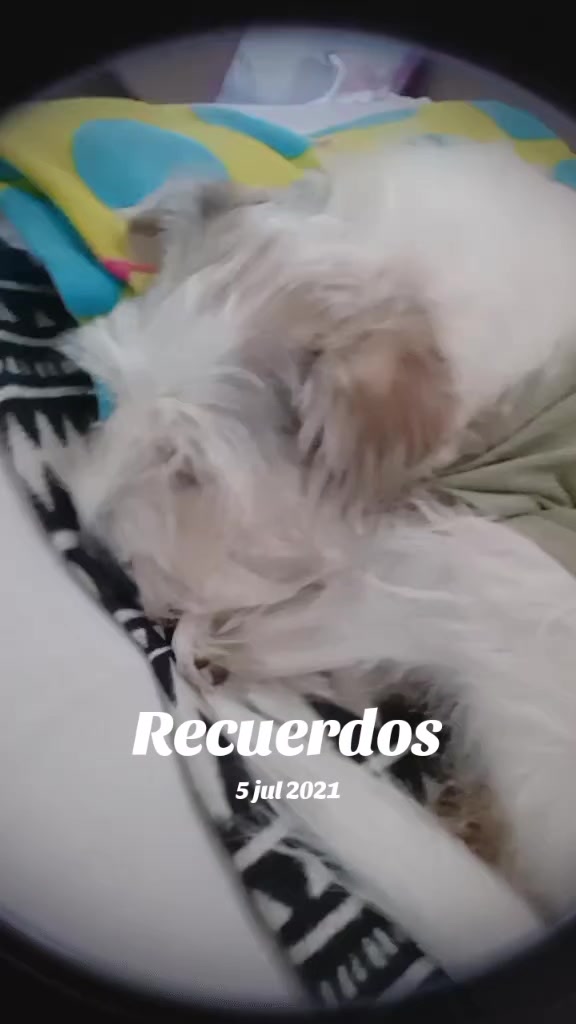 @Carla Ibarguen