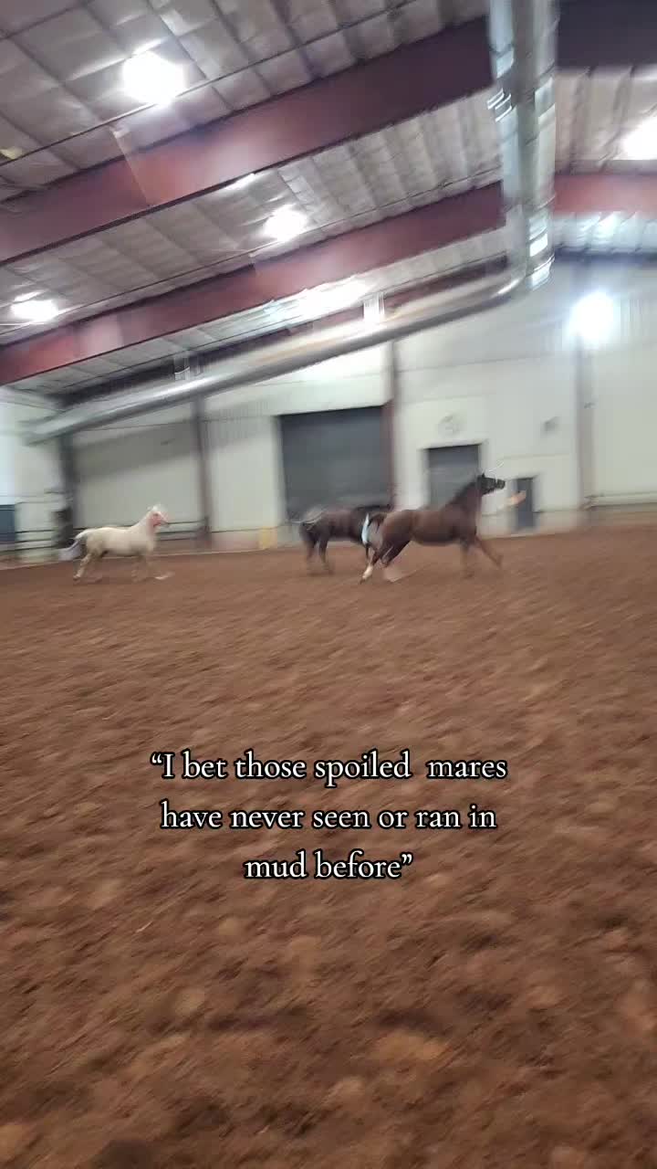 @Bettybarrelracer
