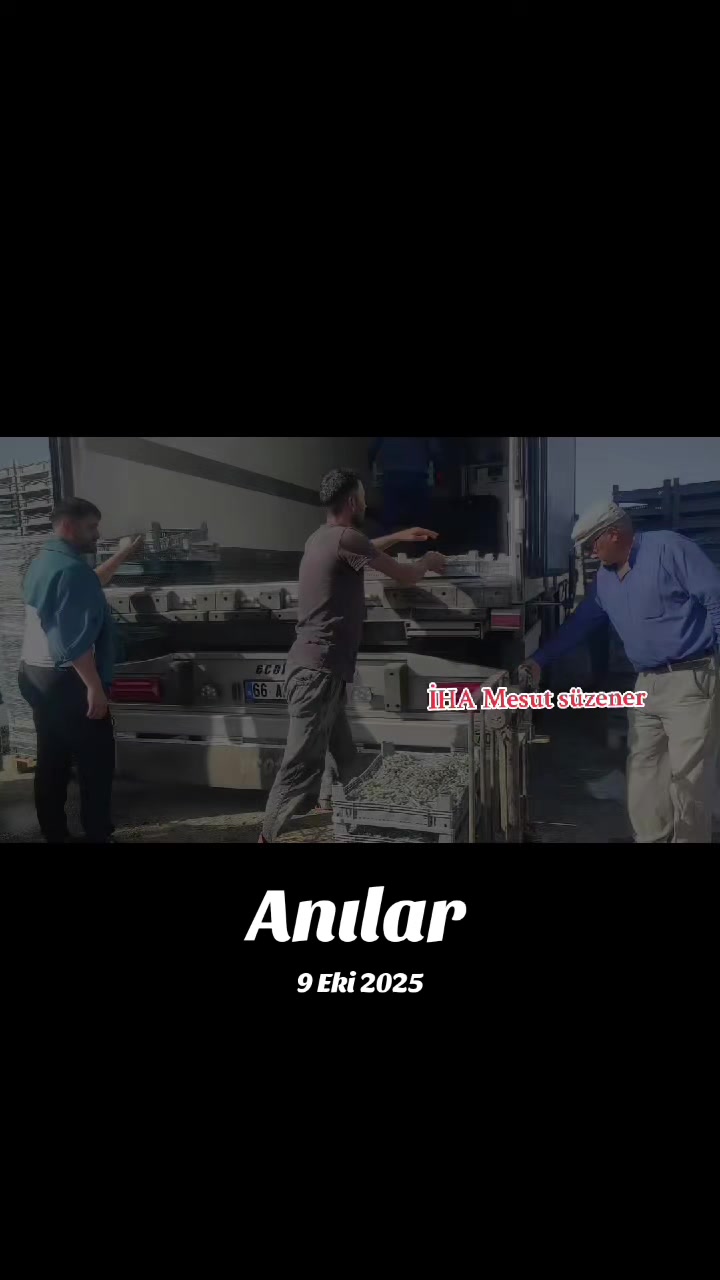 @mesut süzener