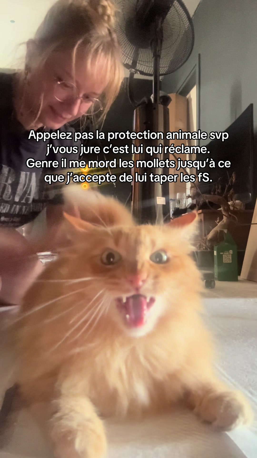 @Aline Dessine