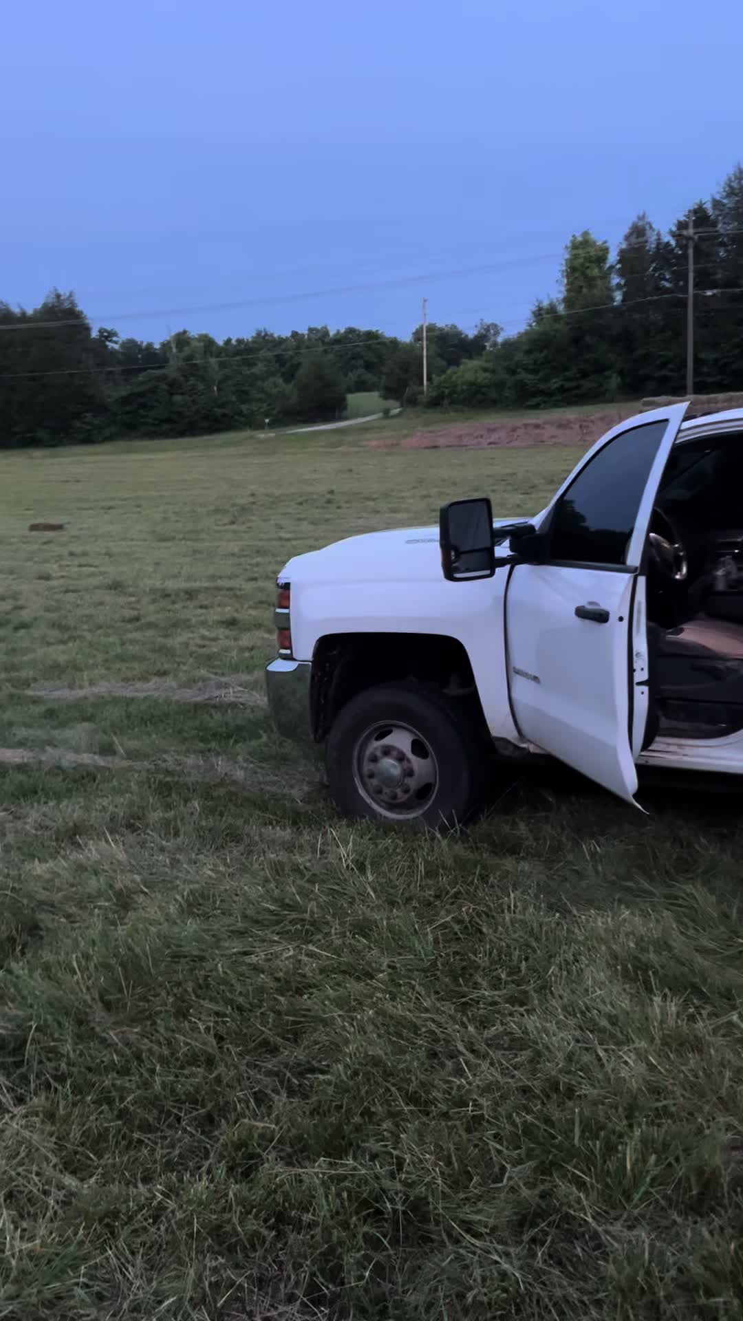 @M&M Cattle co.