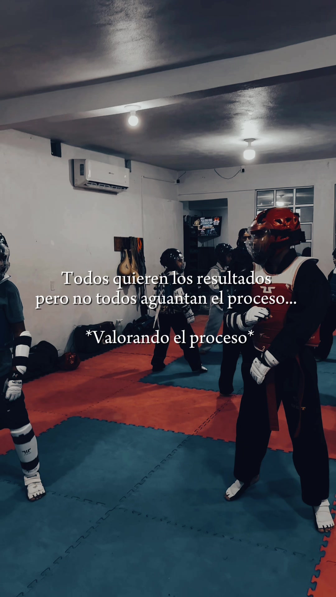 @taekwondolionsteam