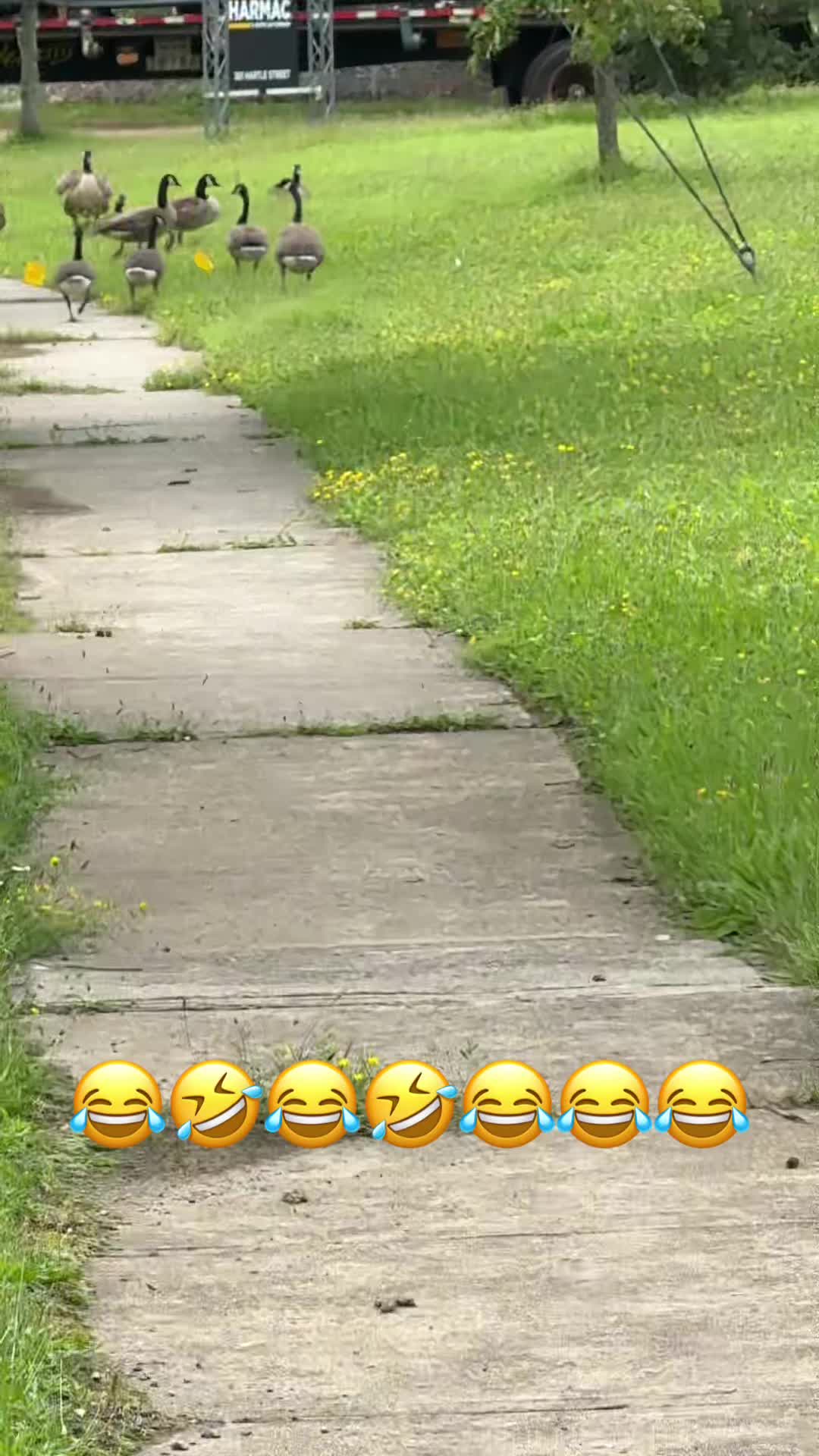 @big_manu_salcedo