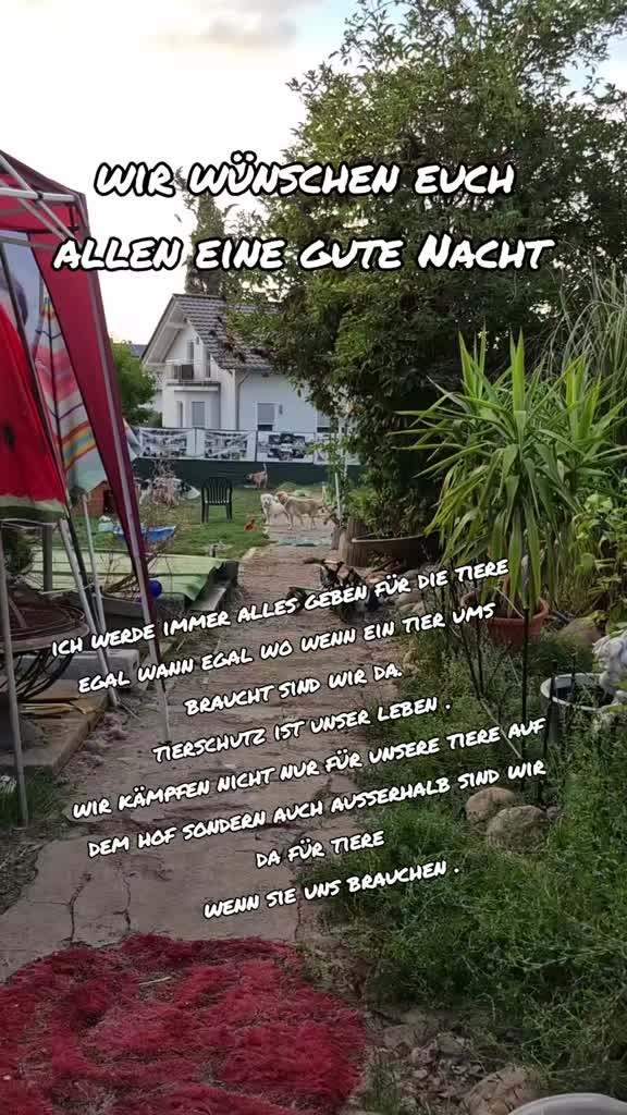 @Gnadenhof Zimmermann-Hesse