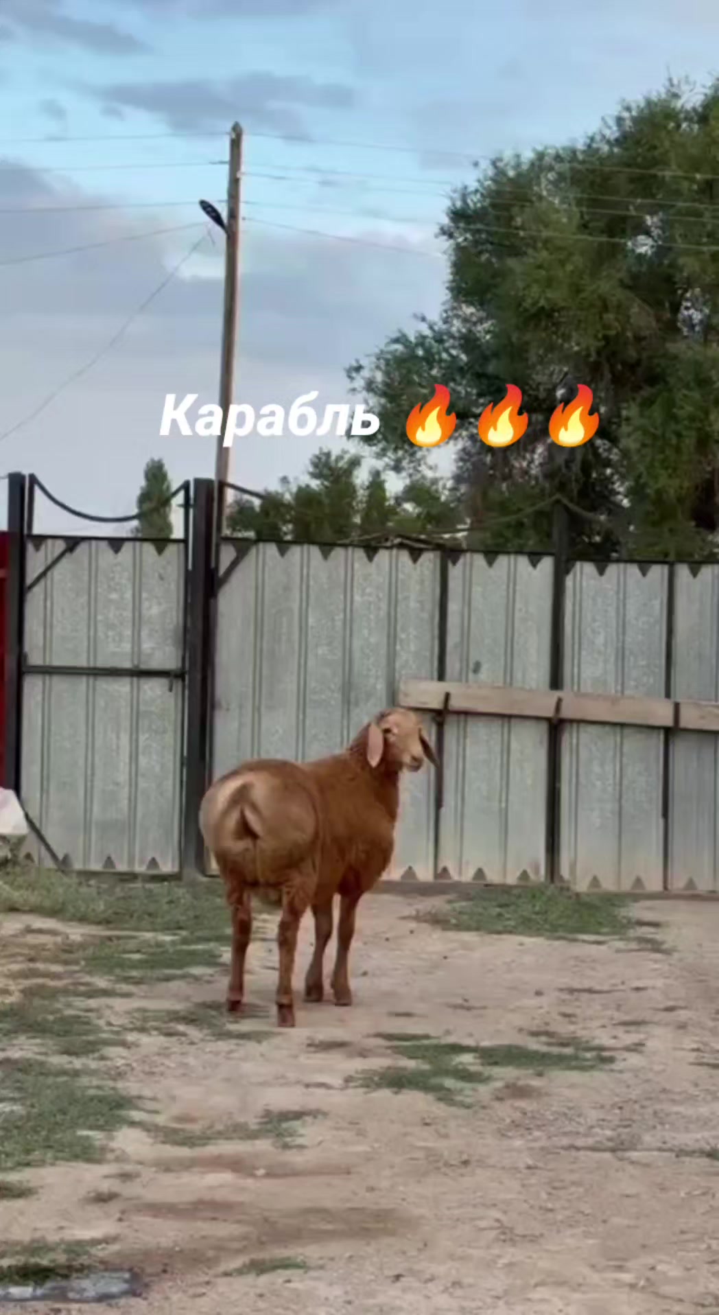 @Рахат