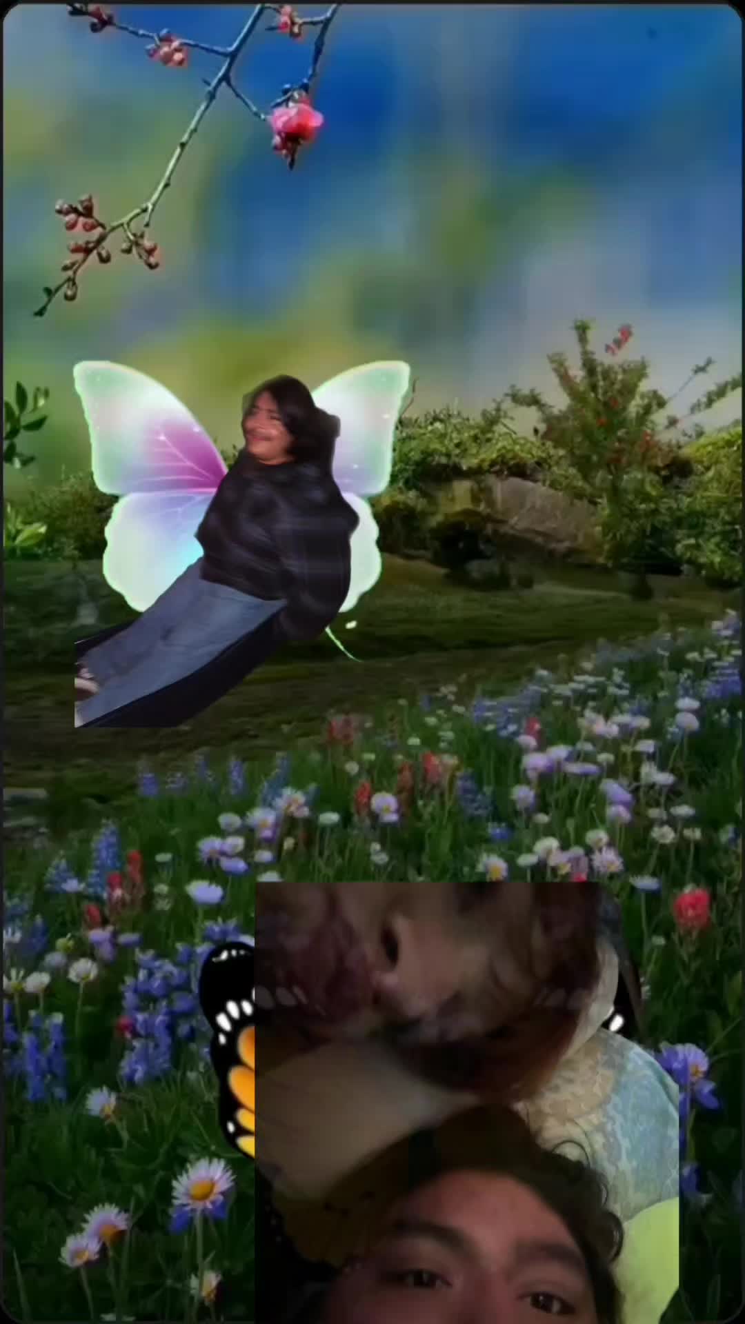 @ari <3