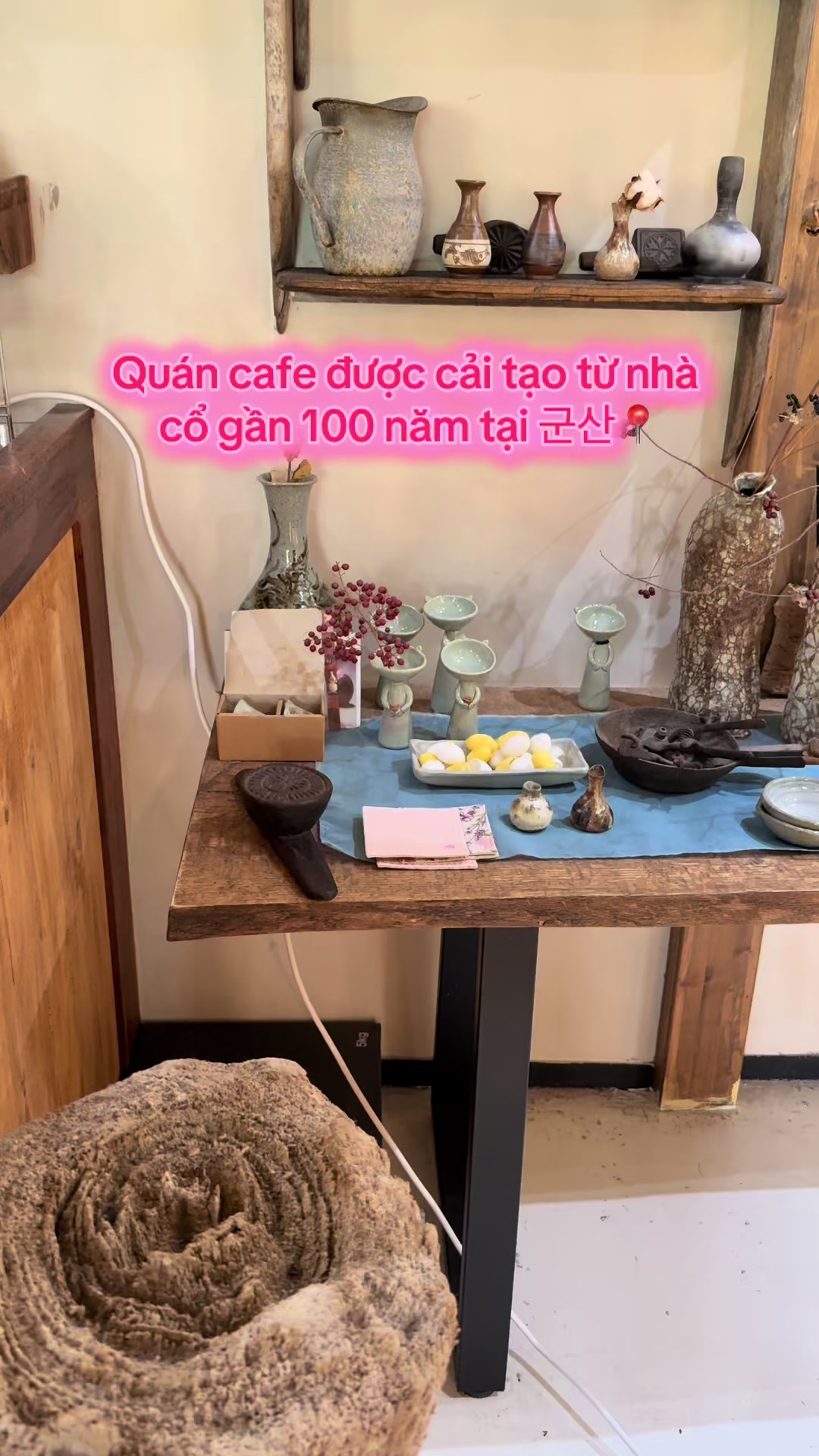 @⋆. 𐙚 ˚ Thương ༘⋆🌷🫧💭₊˚ෆ