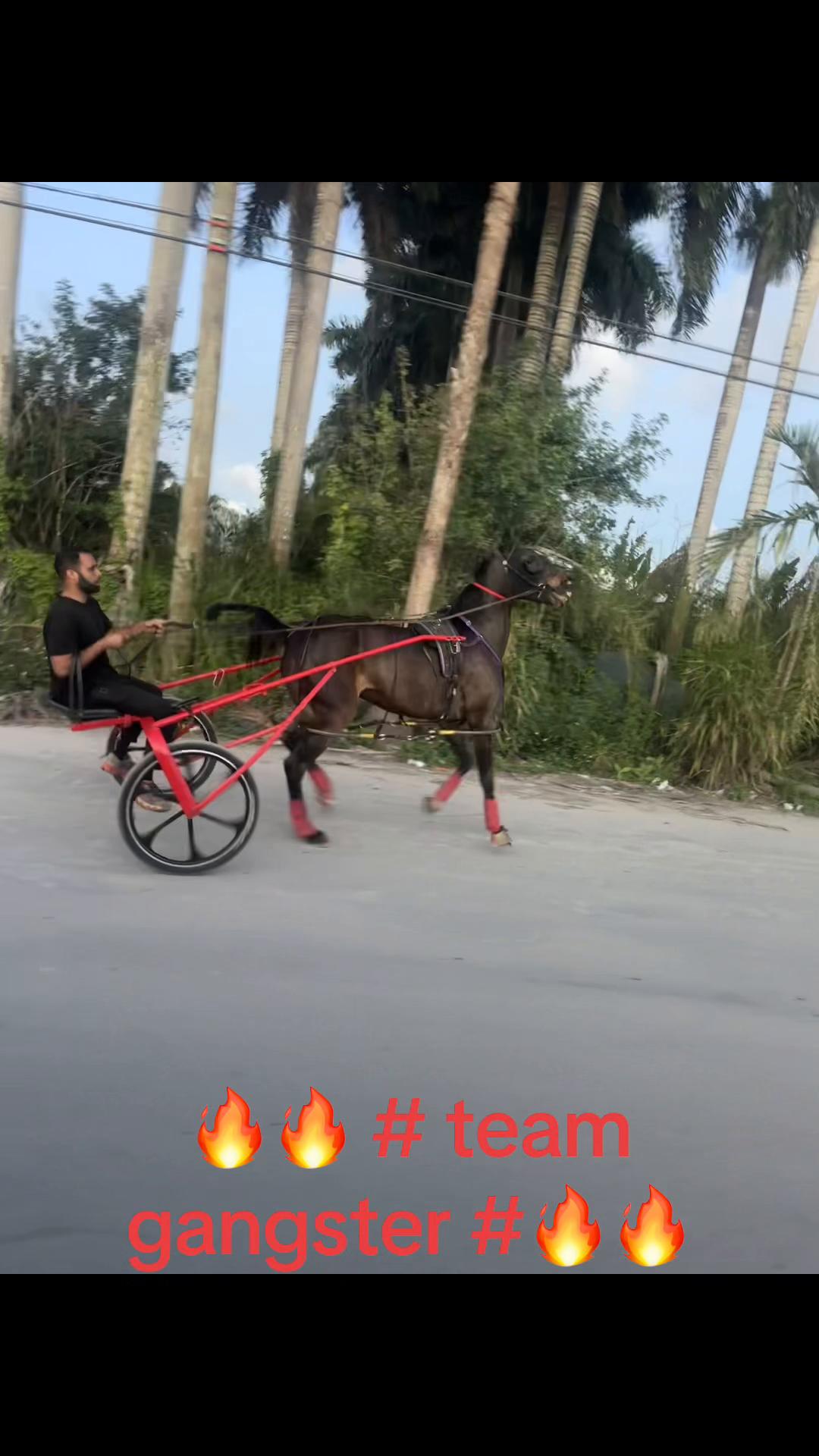 @🔥🔥❤️EL FEO ❤️🔥🔥