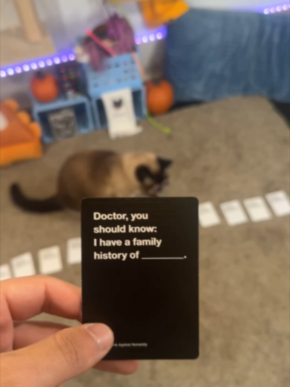 @bap.kat