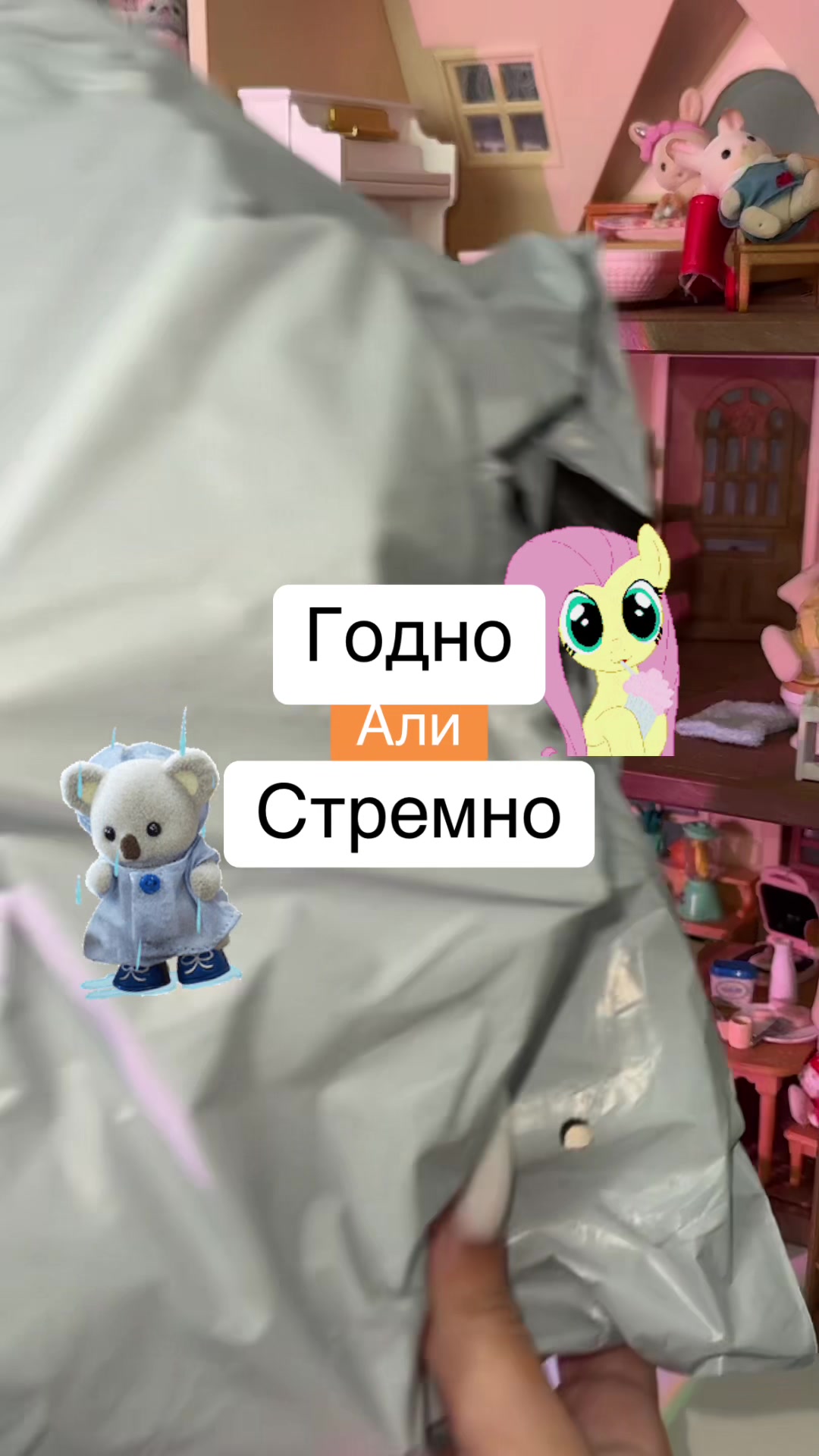 @M collector 🐈&zwj;⬛