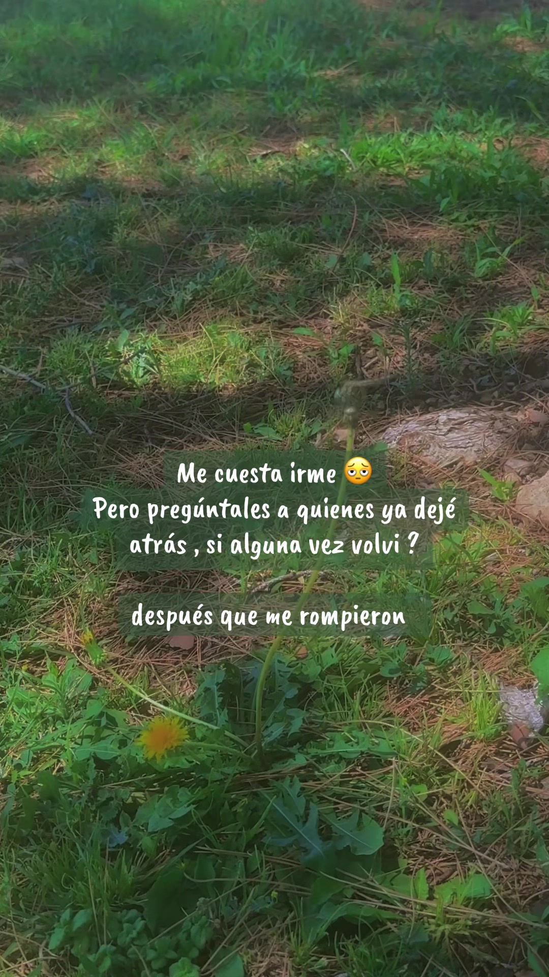 @Desanylove