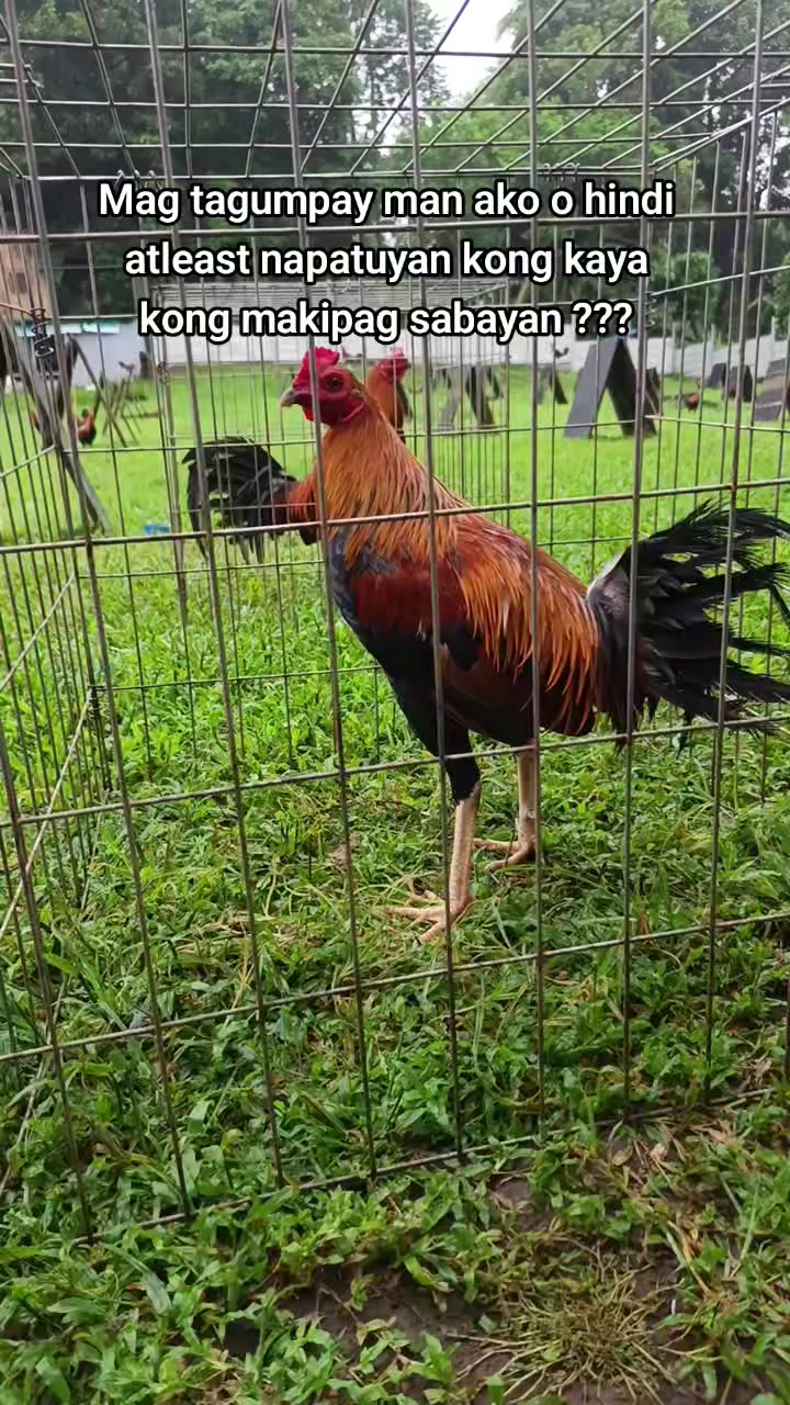 @EDUKADONG SABUNGERO
