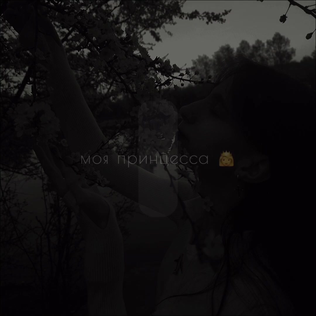 @_Amaleya_