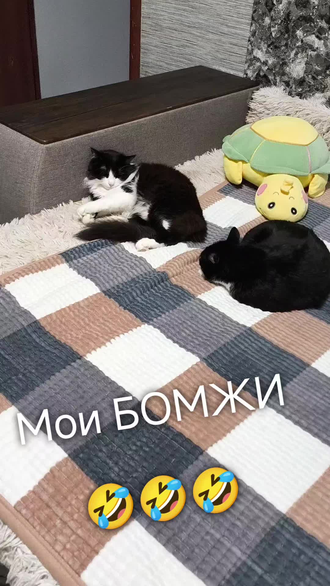 @Людмила Лех