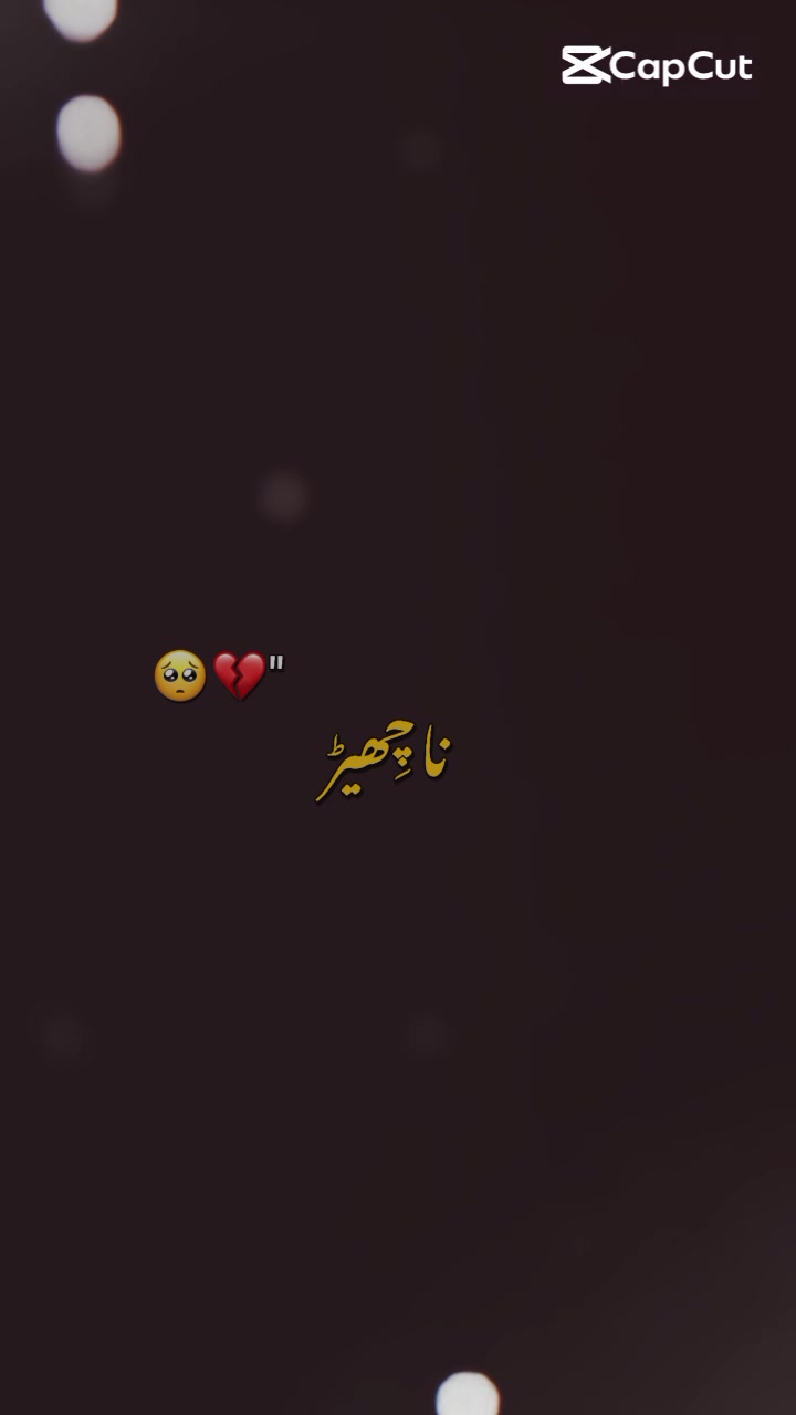 @🥷 ملک برادر☠️🚩