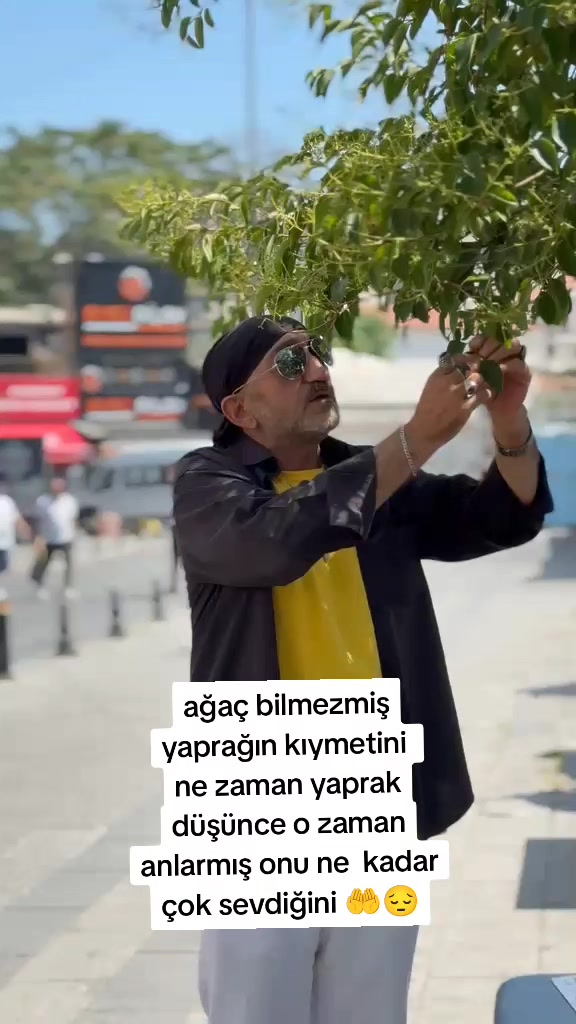 @tuncay bey