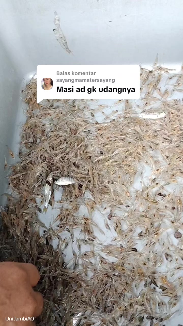 @UniJambi_Aquarium
