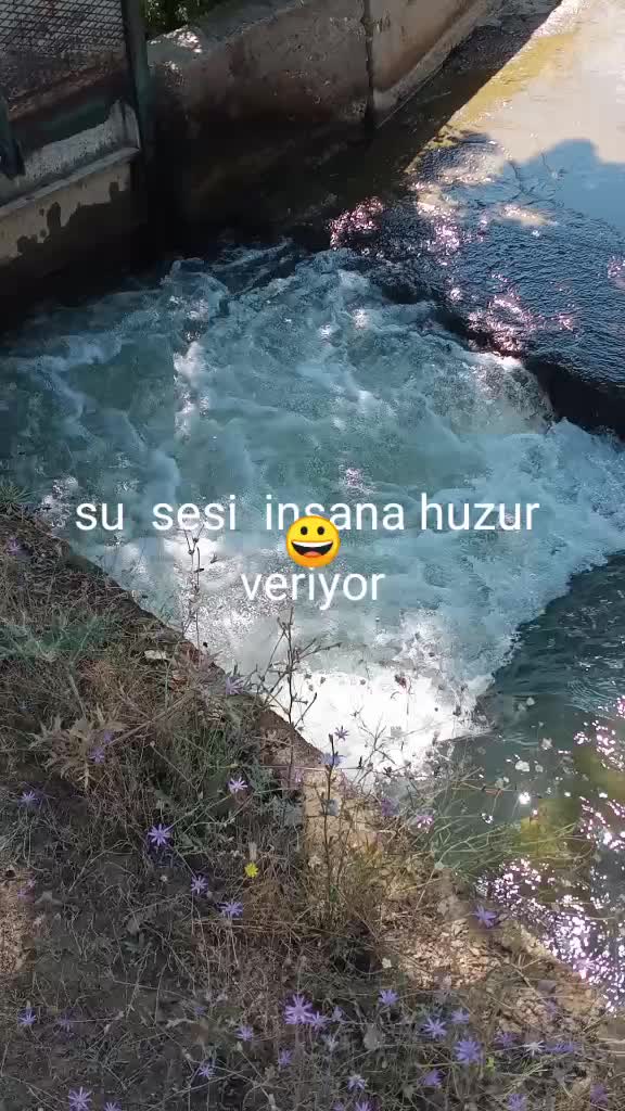 @Hasan Hüseyin Navruz
