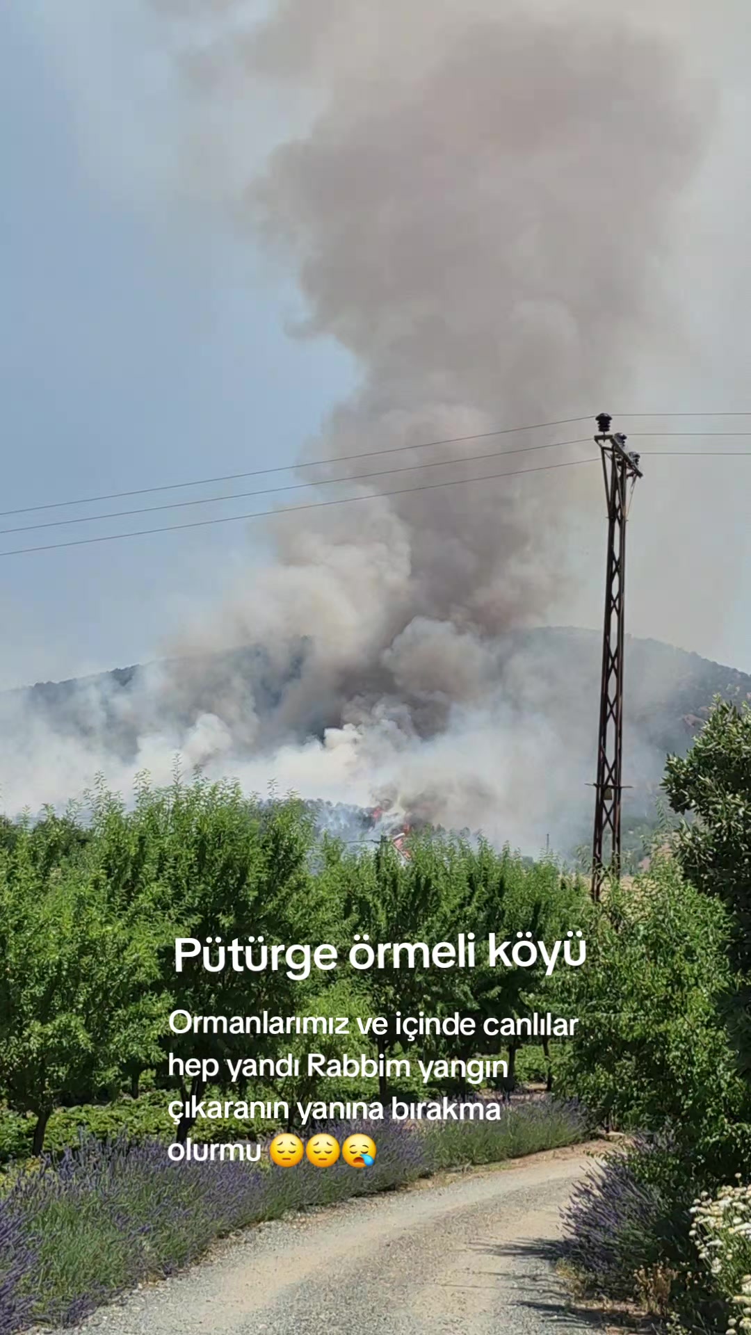 @Gülten