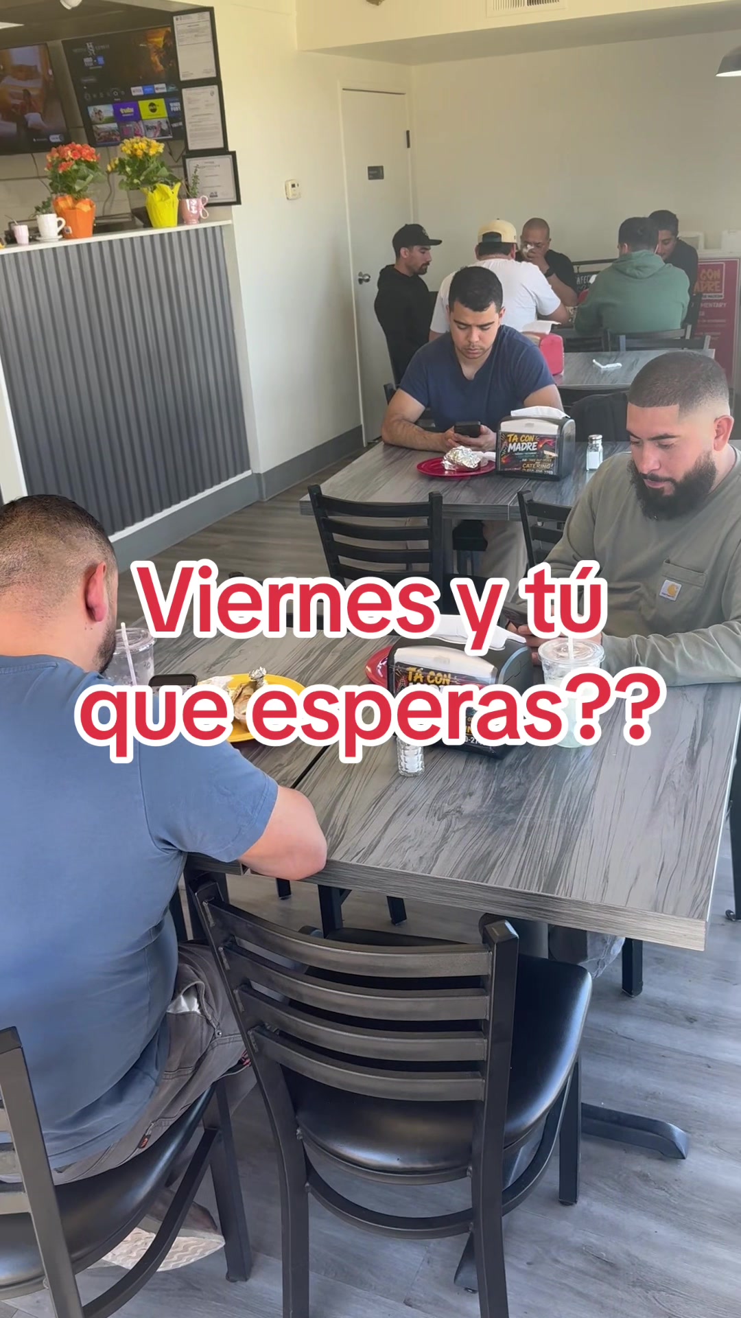 @taconmadremzt