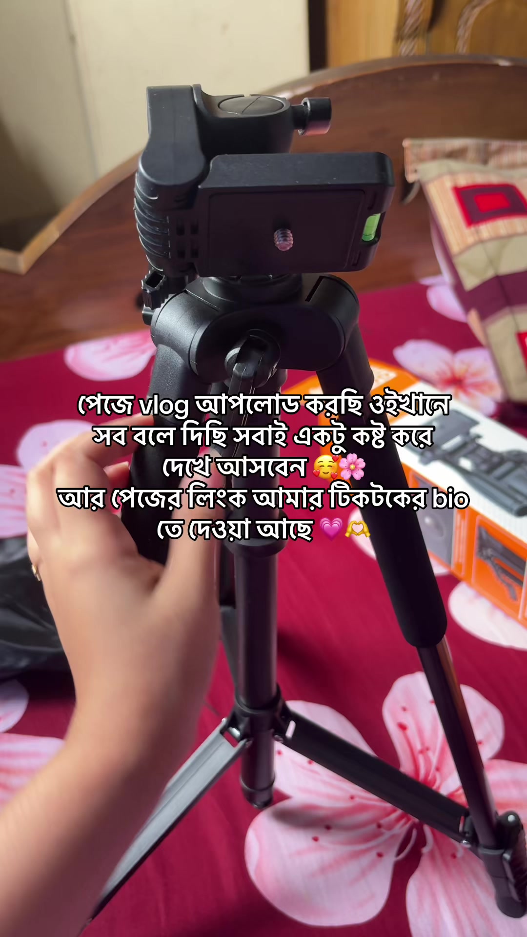 @🇸🇦 SADIA 🇧🇩