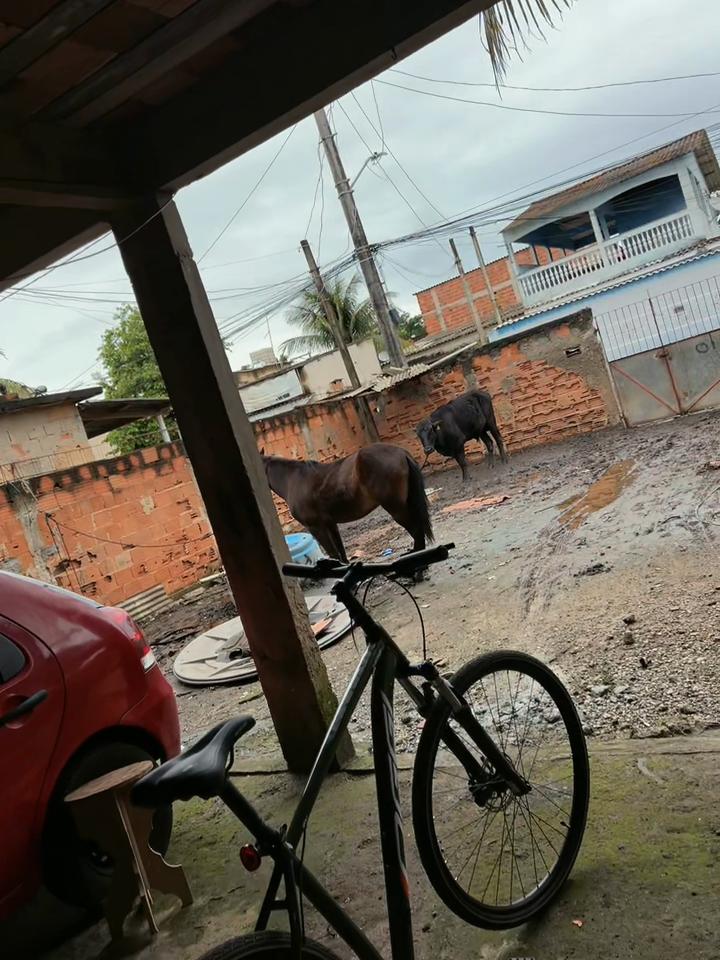 @Sorinho da oggi