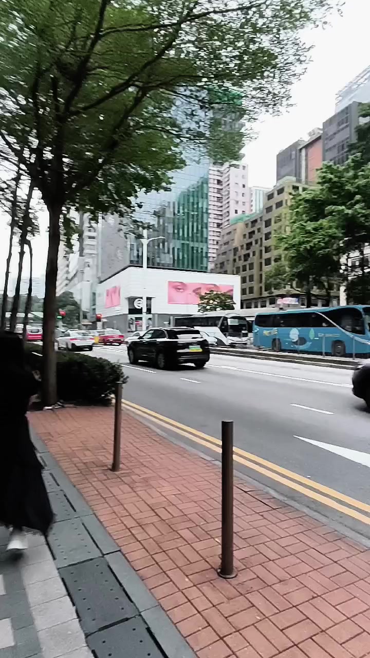 @momo🐈