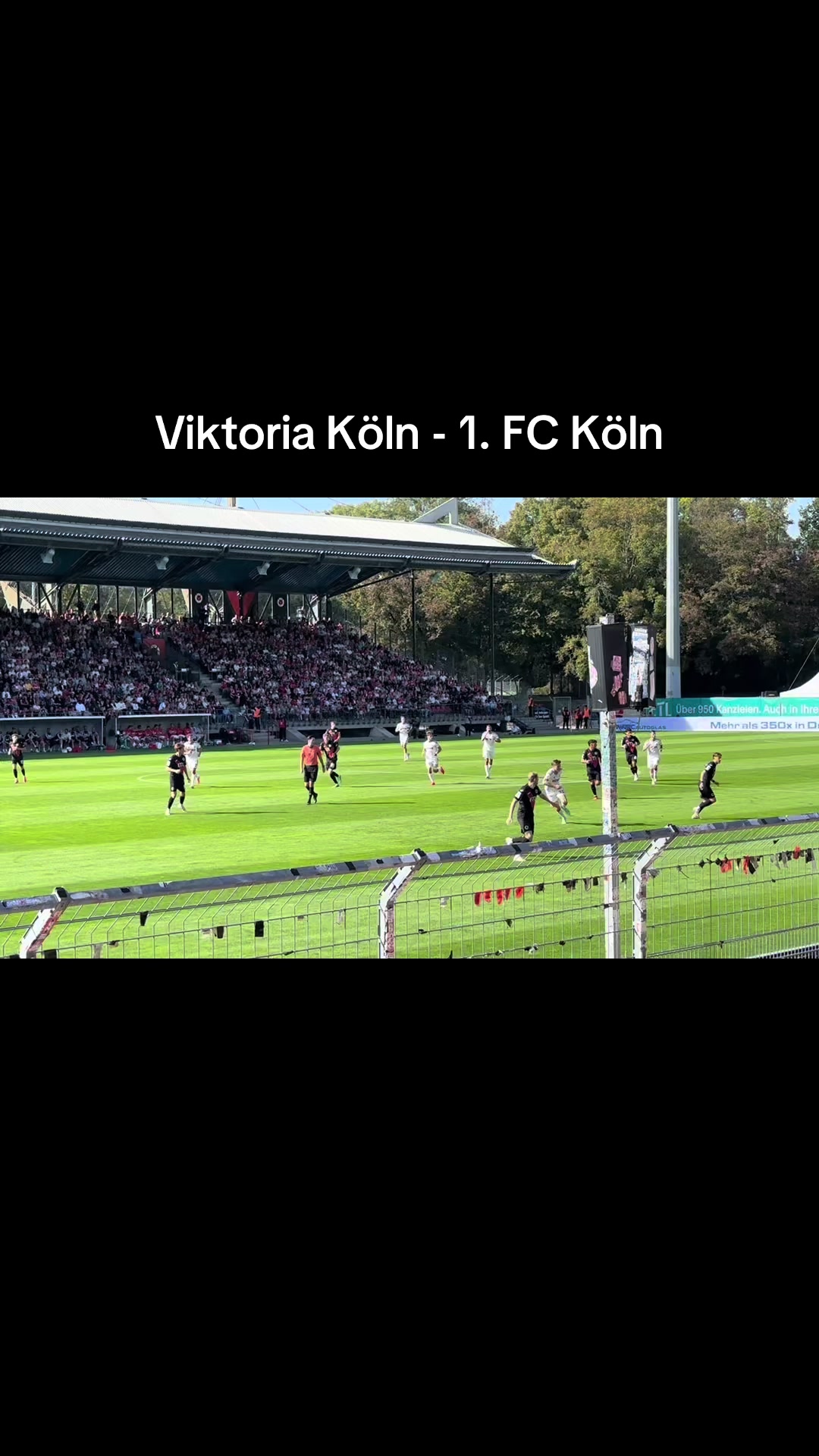 @TESBIH DÜNYASI KÖLN