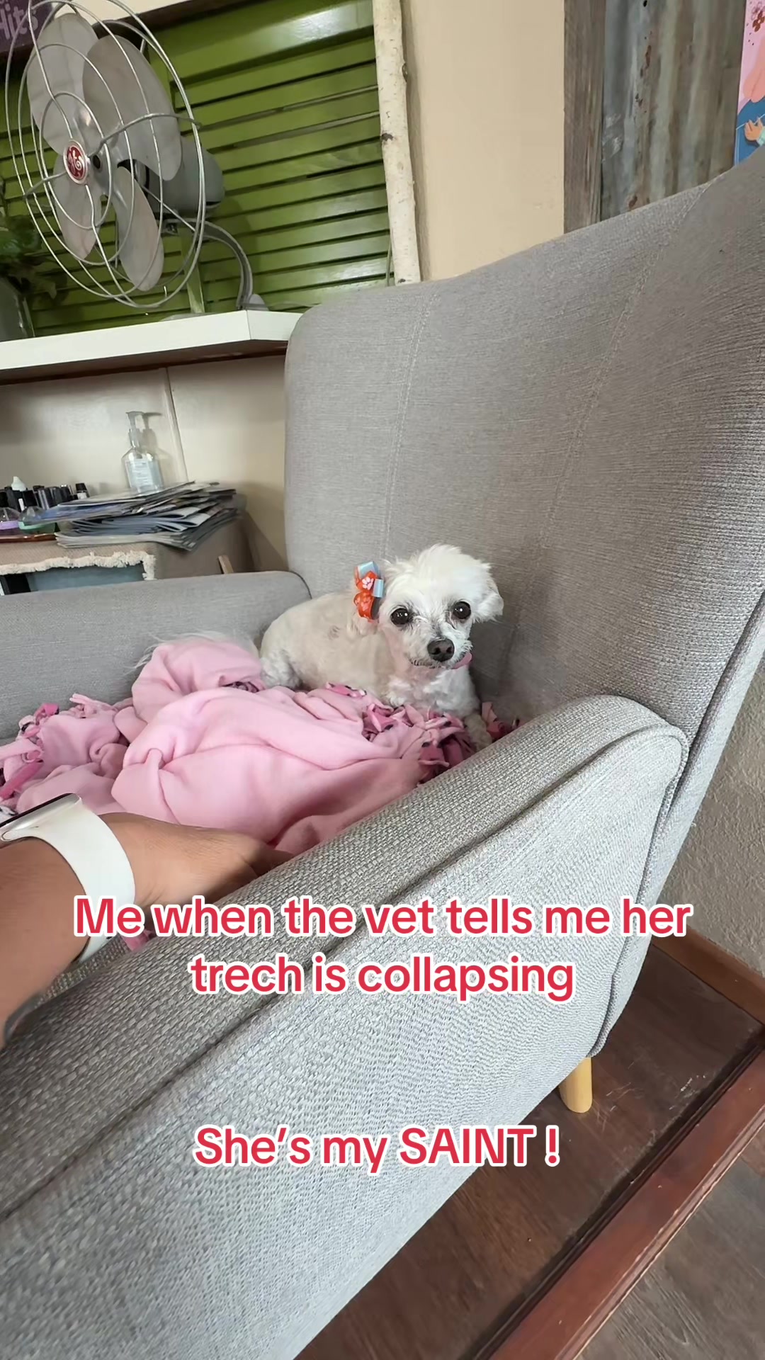 @The Williams