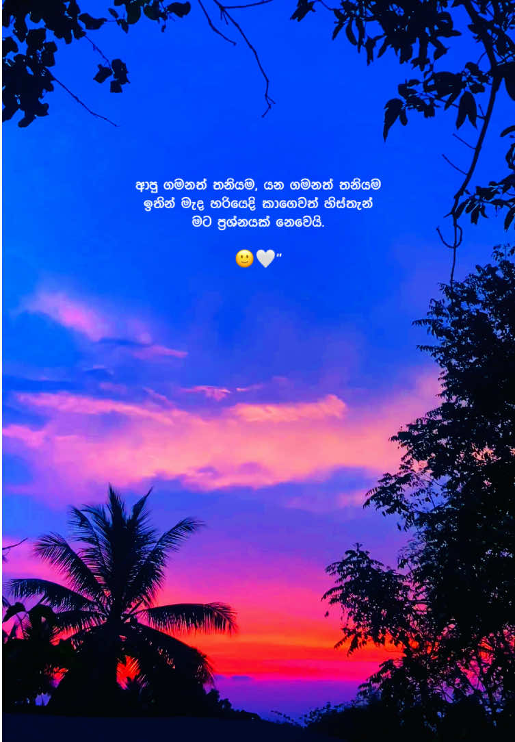 @R U M A 🧸!
