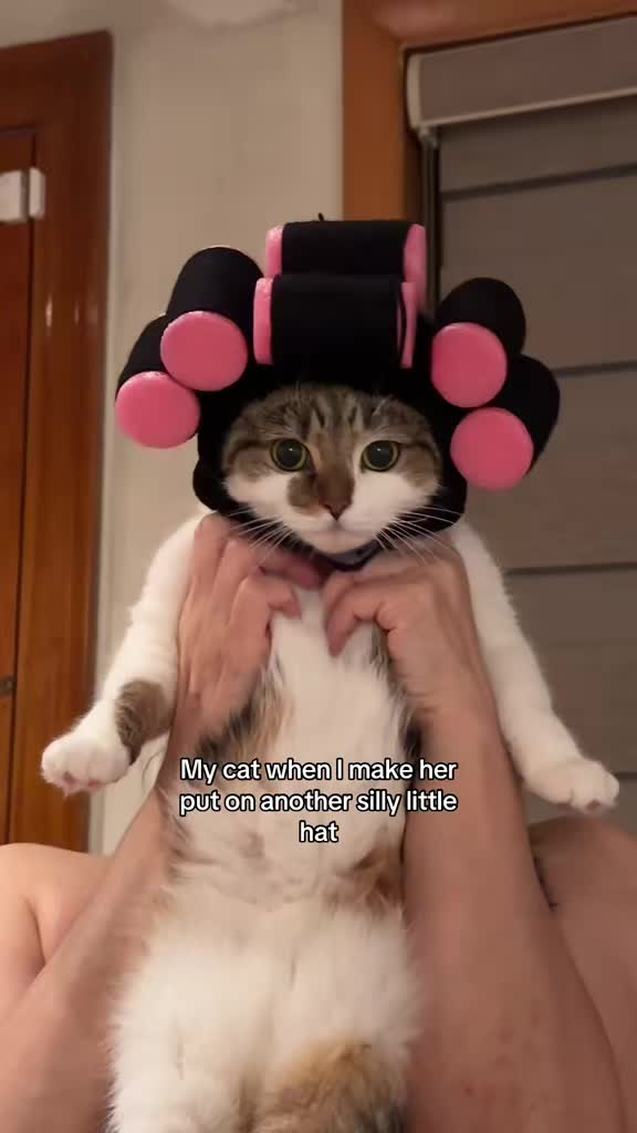 @Suki Purrs
