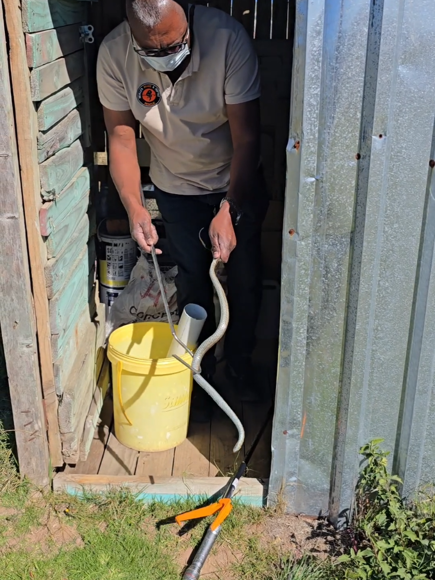 @SnakeRescue NSRR Eastern Cape