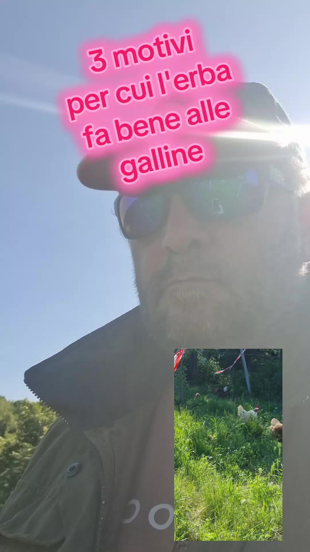 @Il leone e la gallina