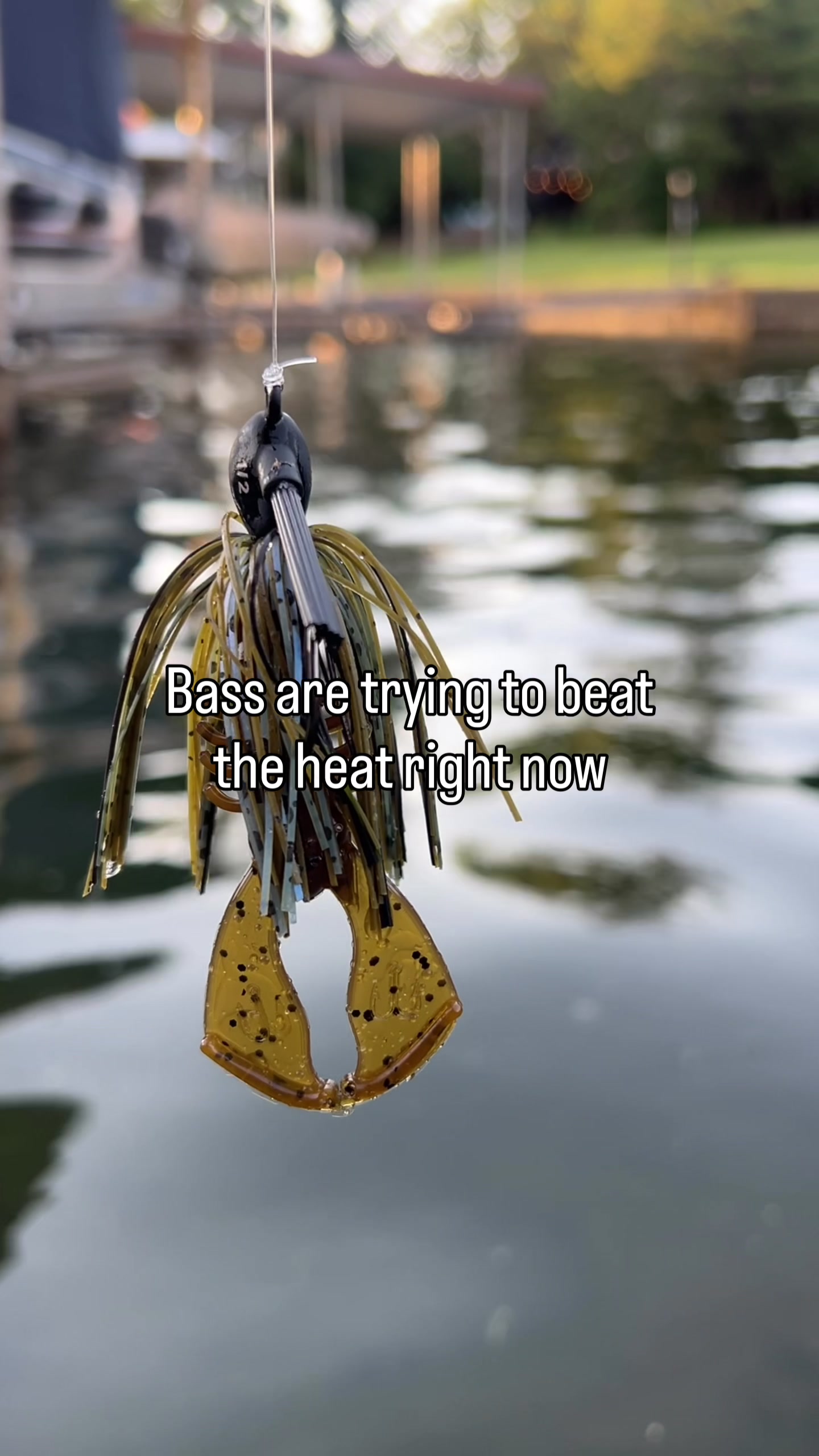 @Motion Fishing