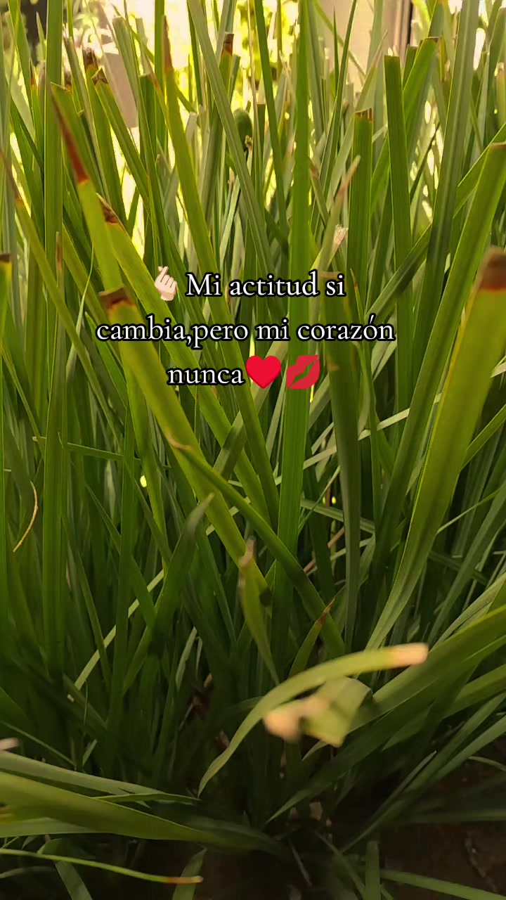 @❣️♾️Erykita🥰