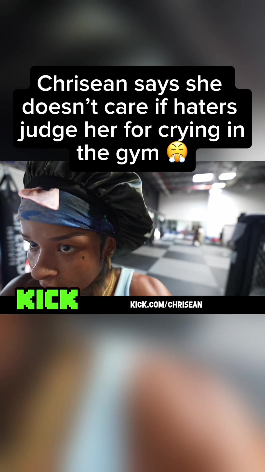 @gerbilclippedit