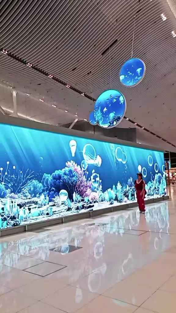 @M͎a͎l͎d͎i͎t͎a͎h͎