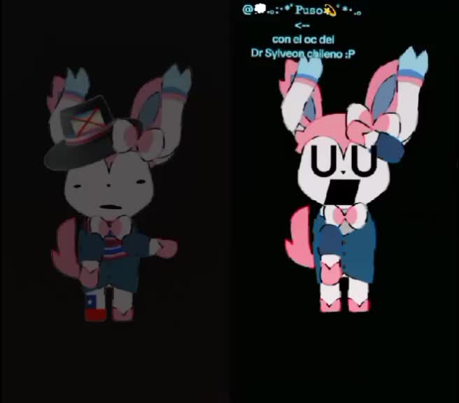 @┆⚠︎⏤͟͟͞͞🐰𝐁odoque 𝐓iktok XD┆