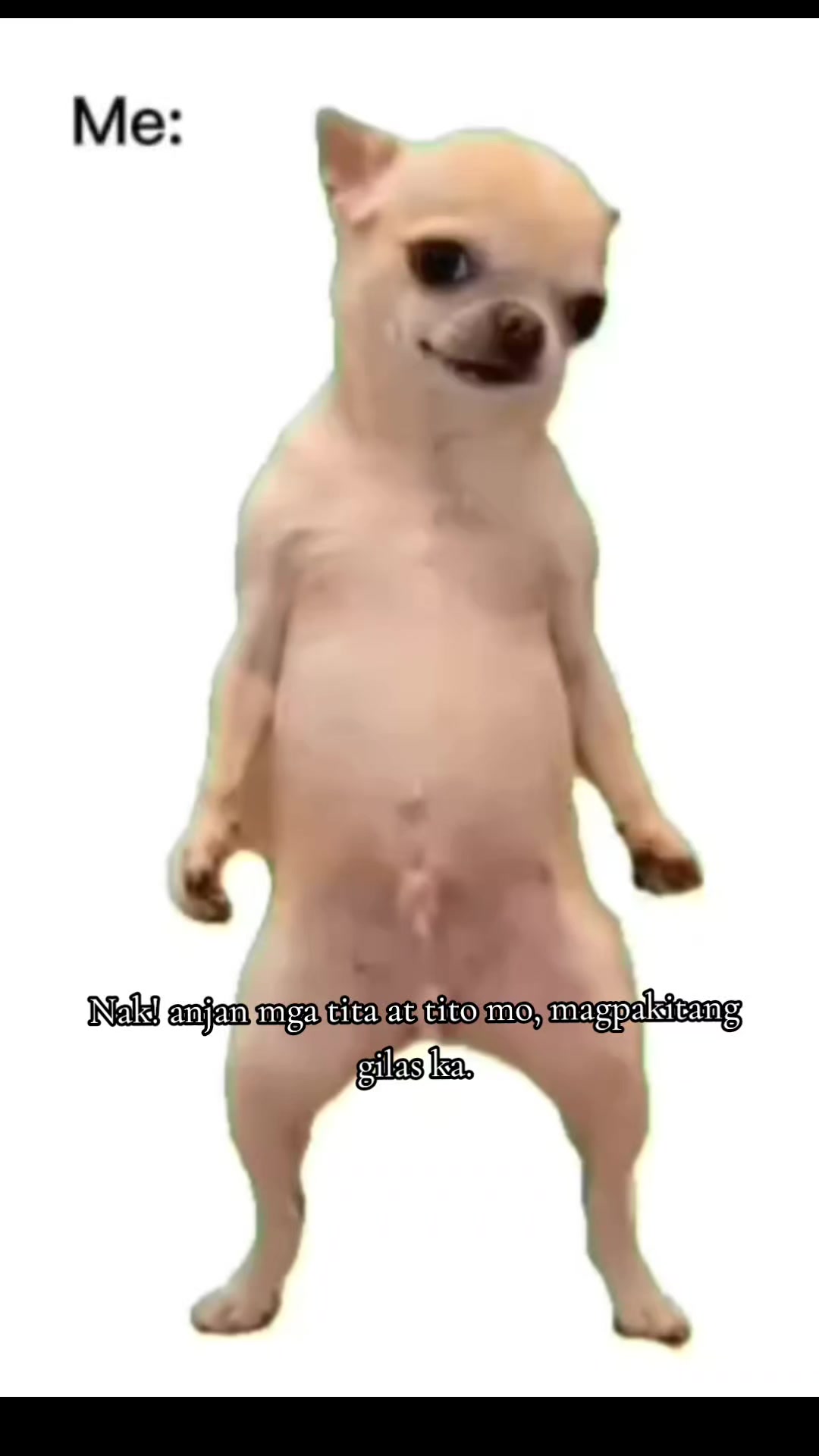 @๐น ๐ฐ ๐ฟ ๐ฟ ๐
๐จ๐ซ