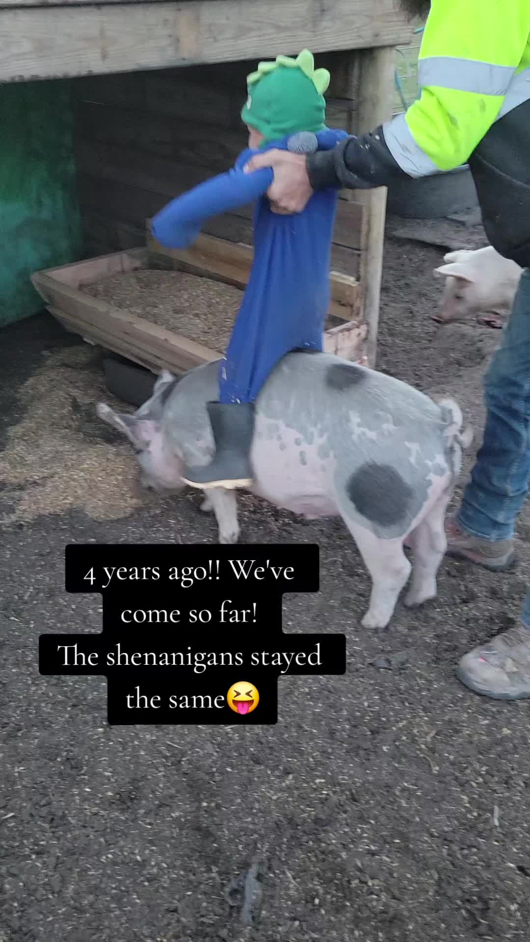 @Dakotafunnyfarm