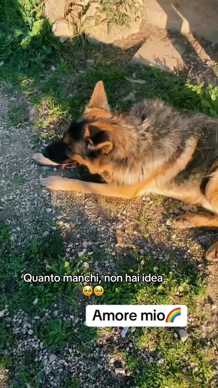 @Elisa~🖤