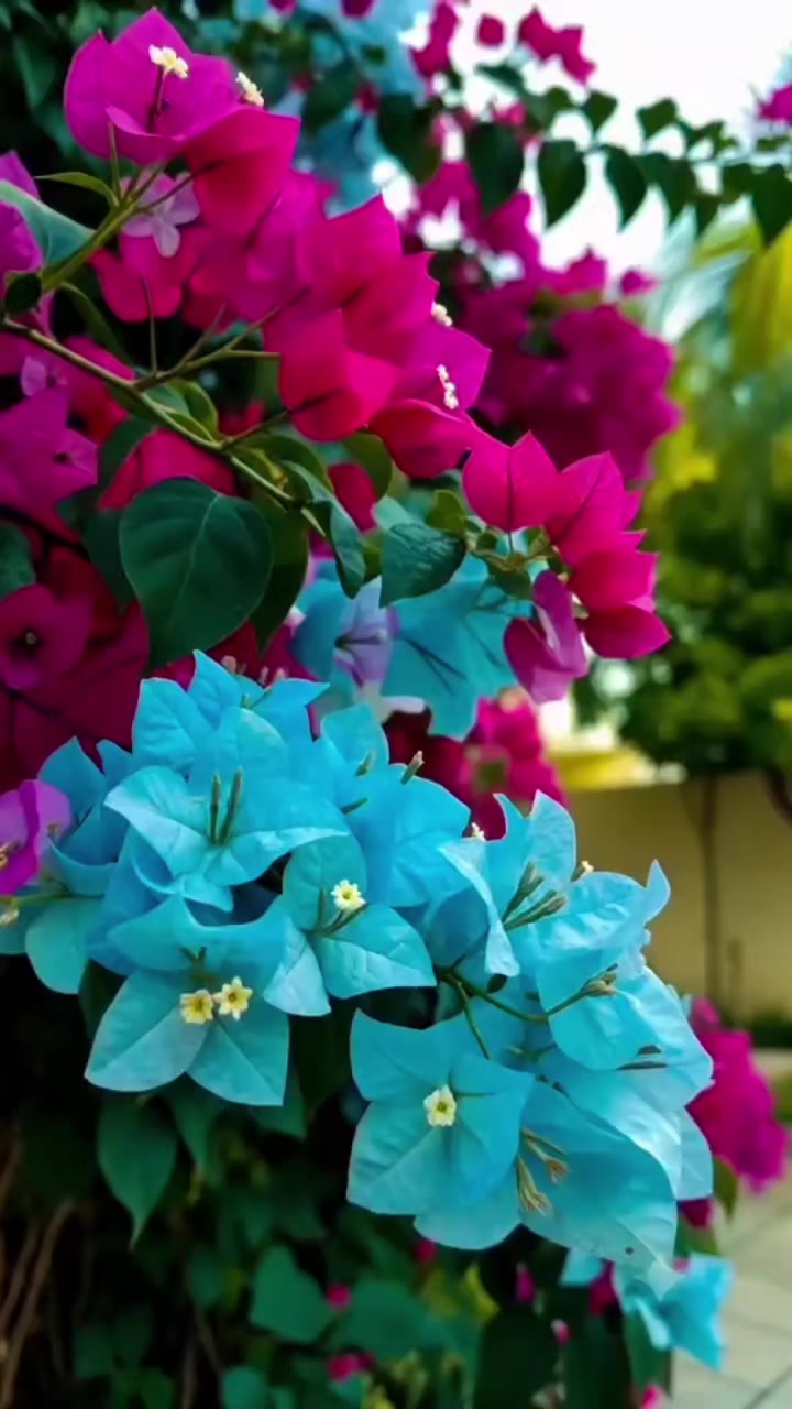 @Madina__32