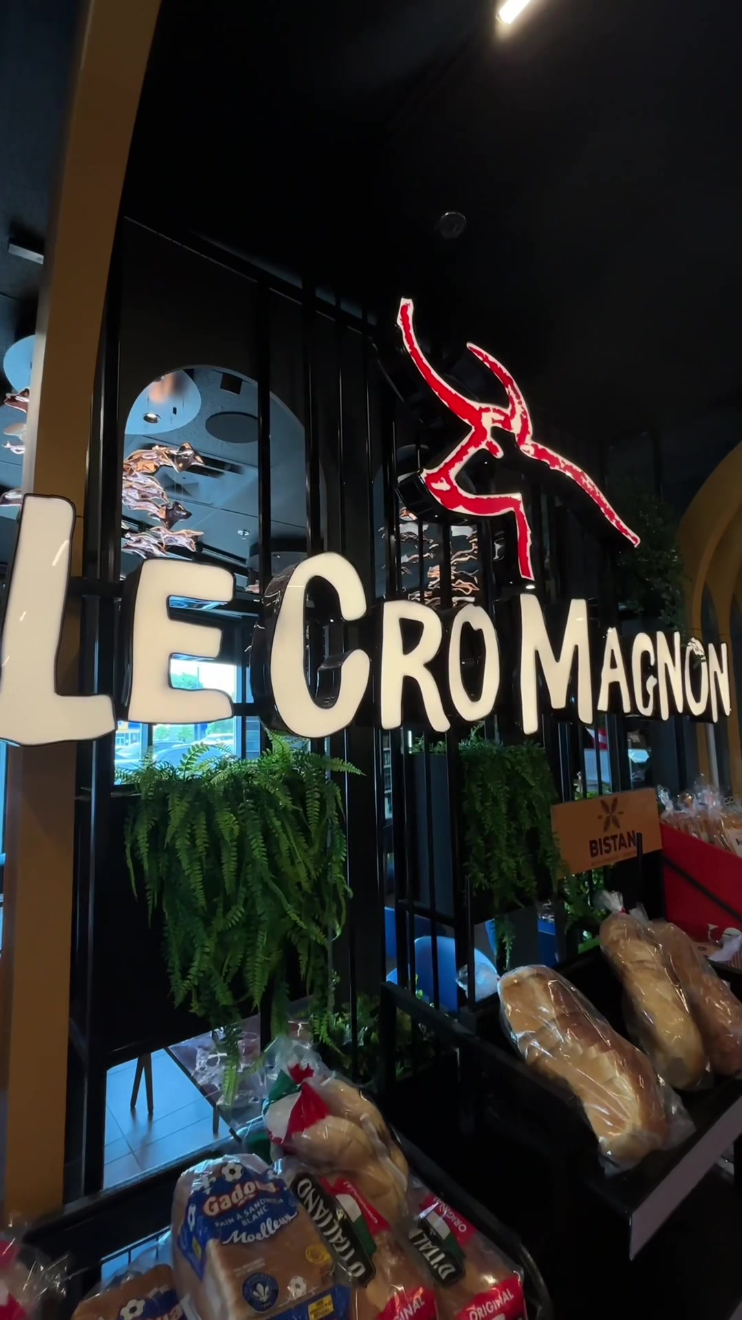 @lecromagnon