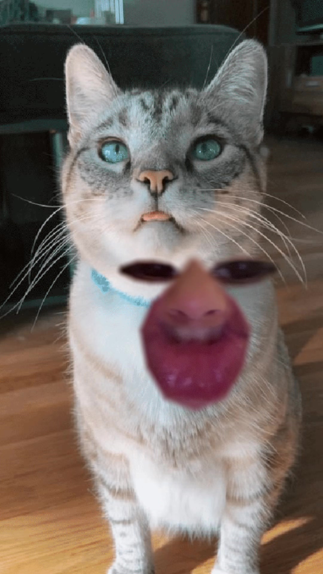 @ItalyBelle8