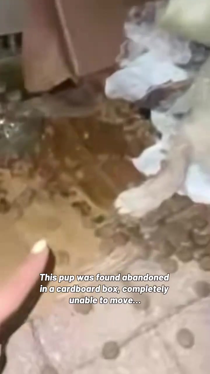@welovecuddly