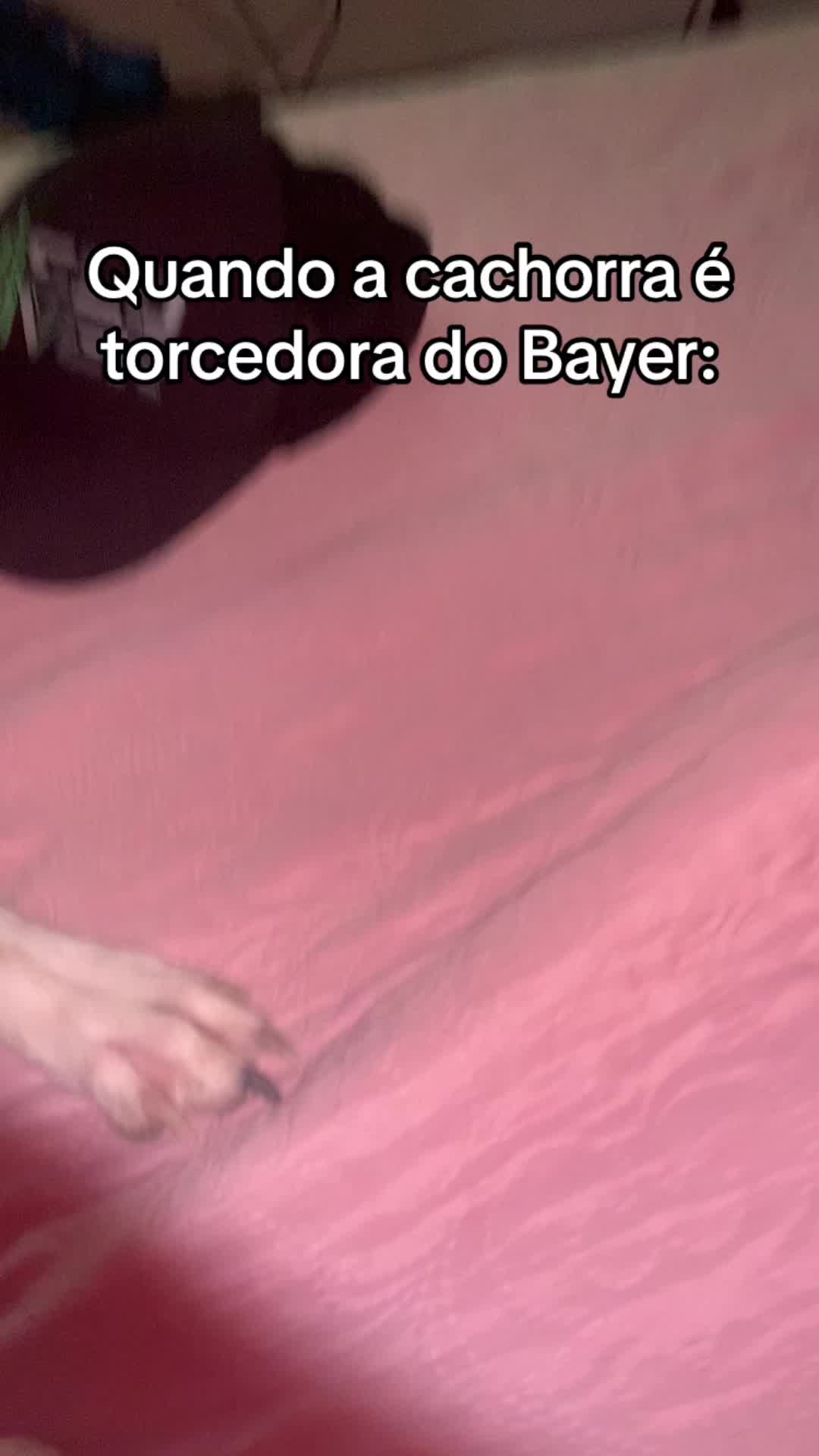 @clertonmuniz5