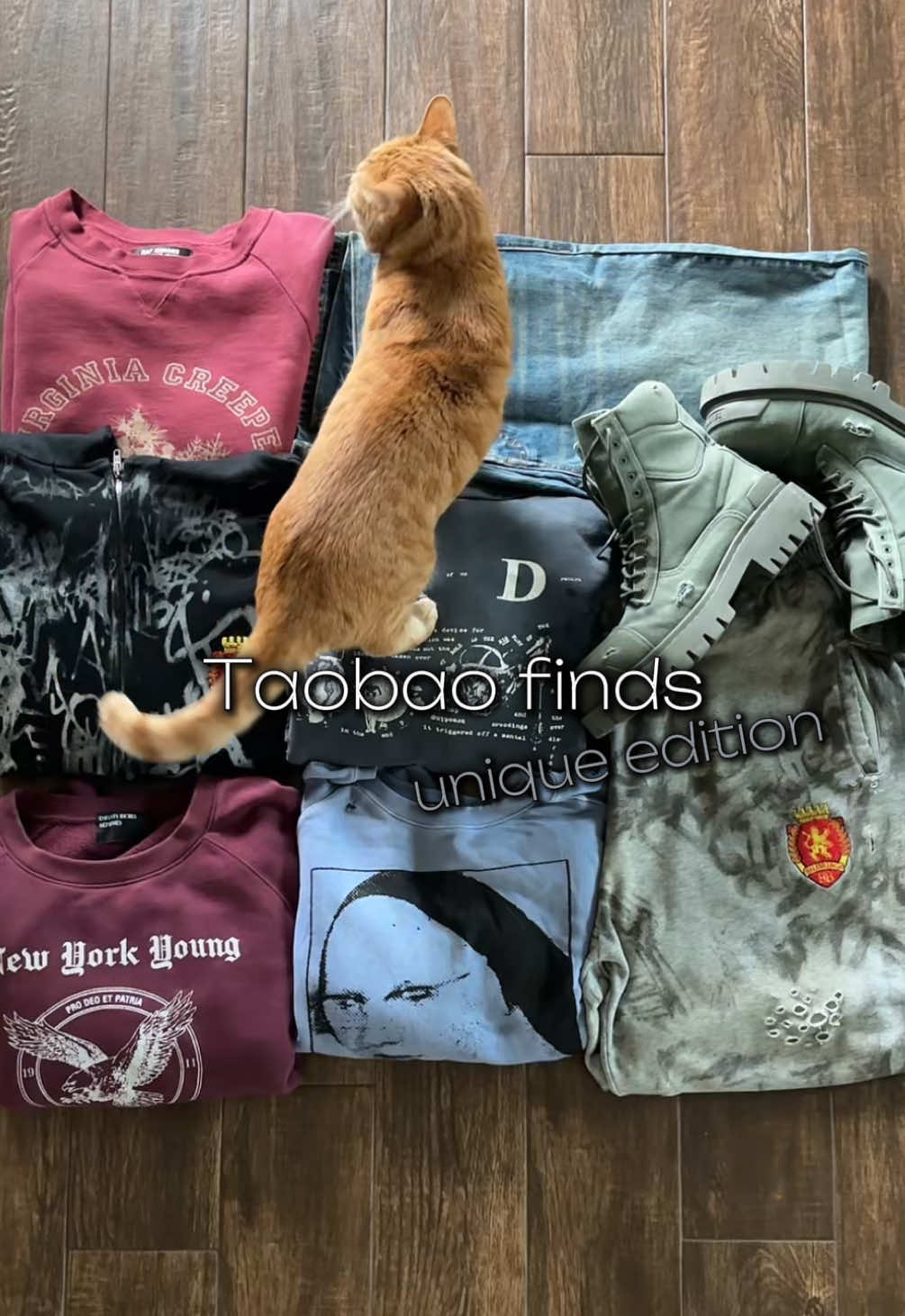 @🐈