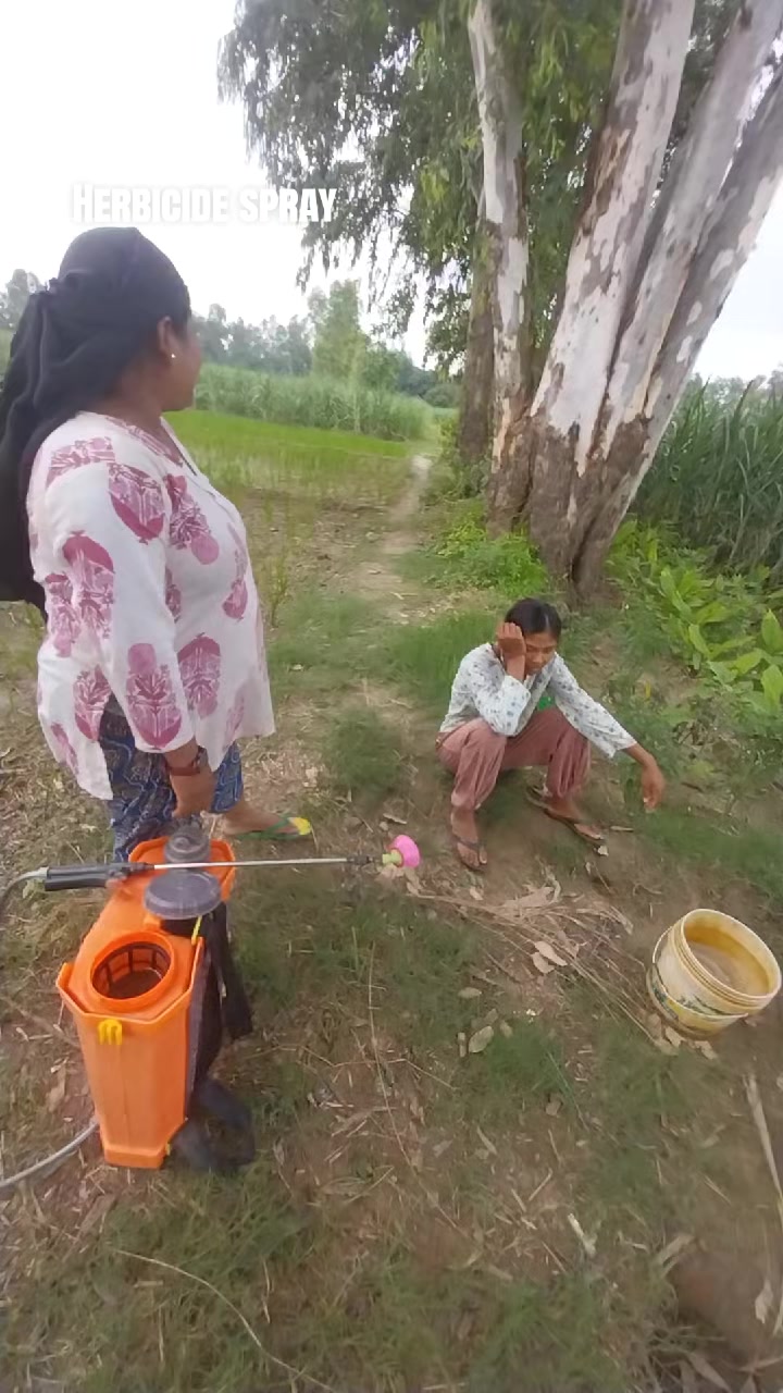 @कर्या कङ्ग्रेहुवा
