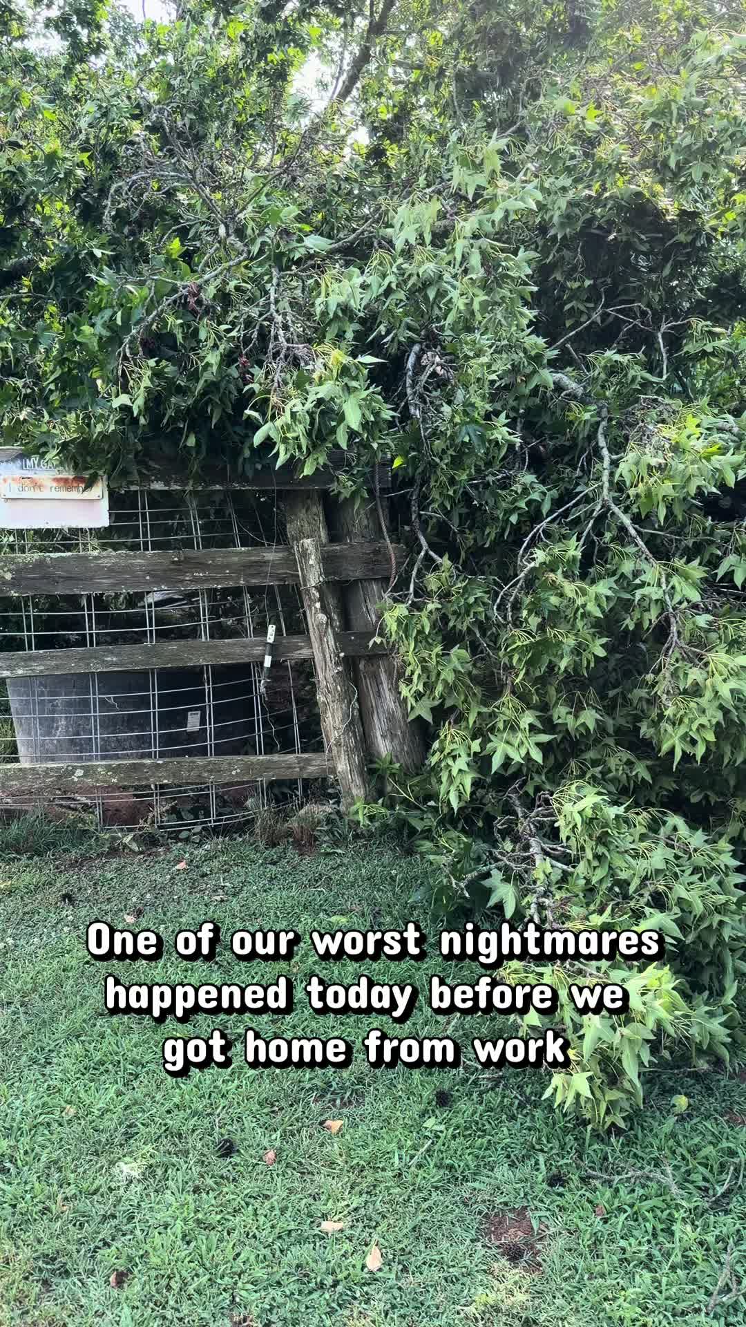 @jacksonridgefarm